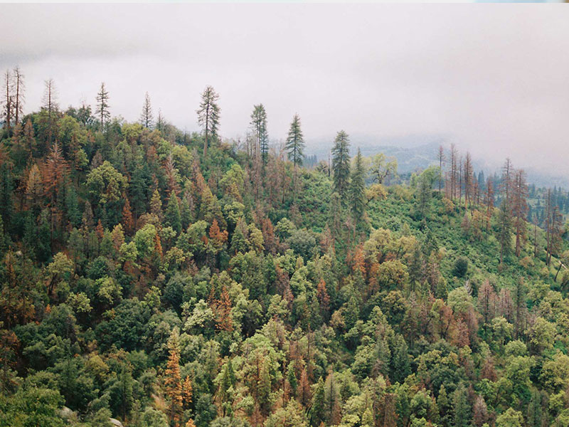 environmental-nonprofit-31